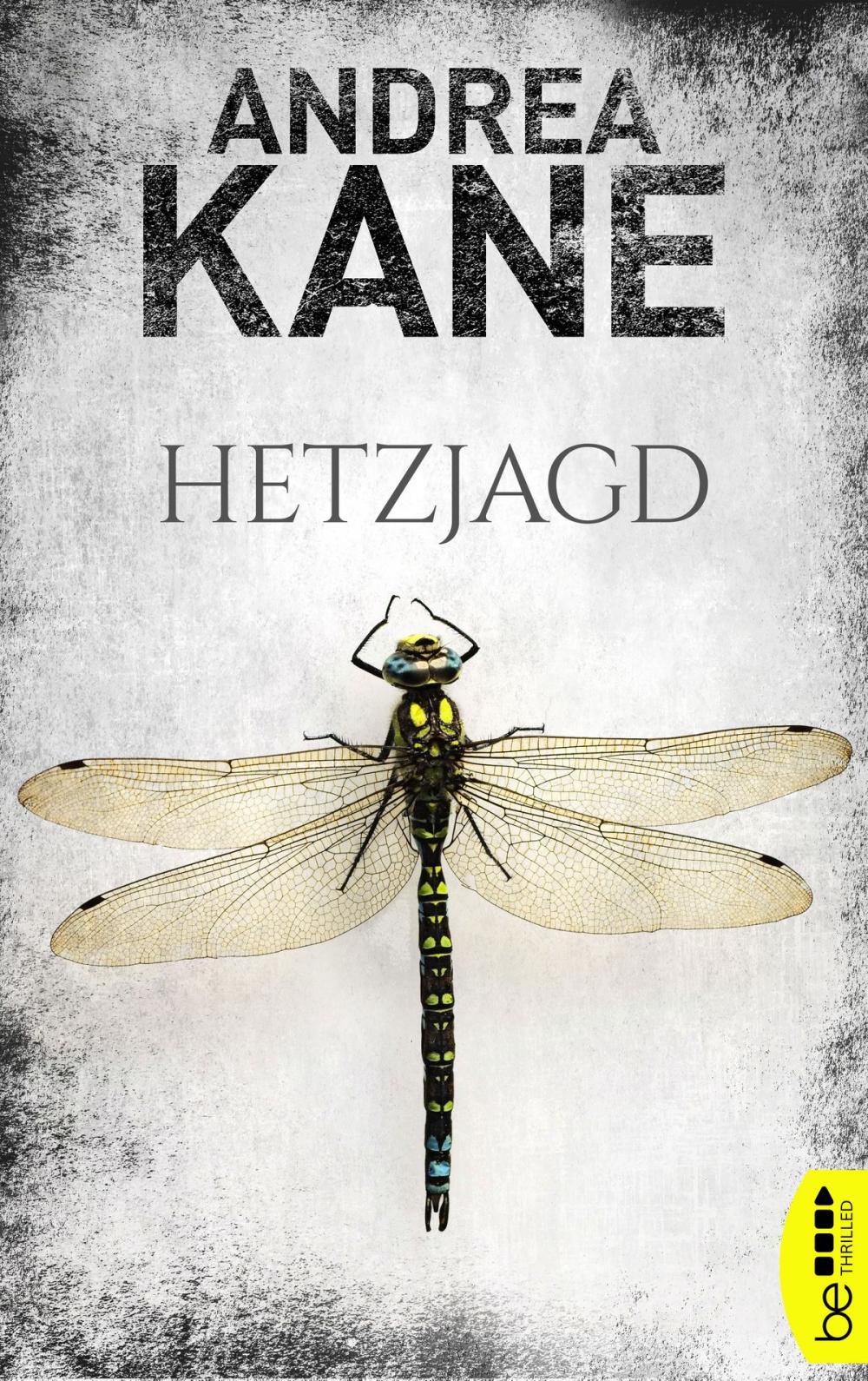 Big bigCover of Hetzjagd