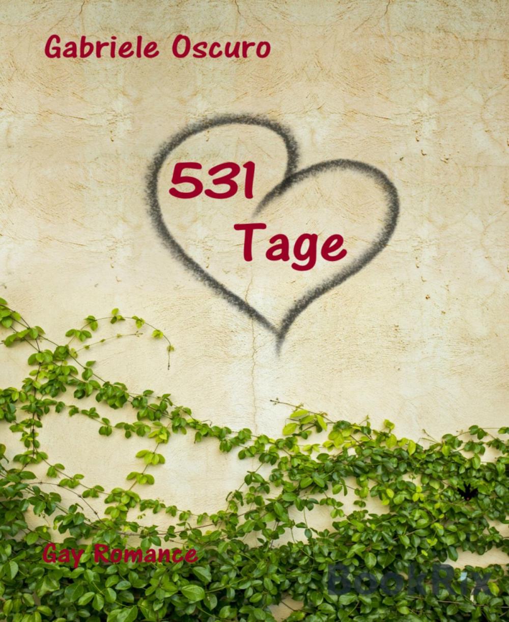 Big bigCover of 531 Tage