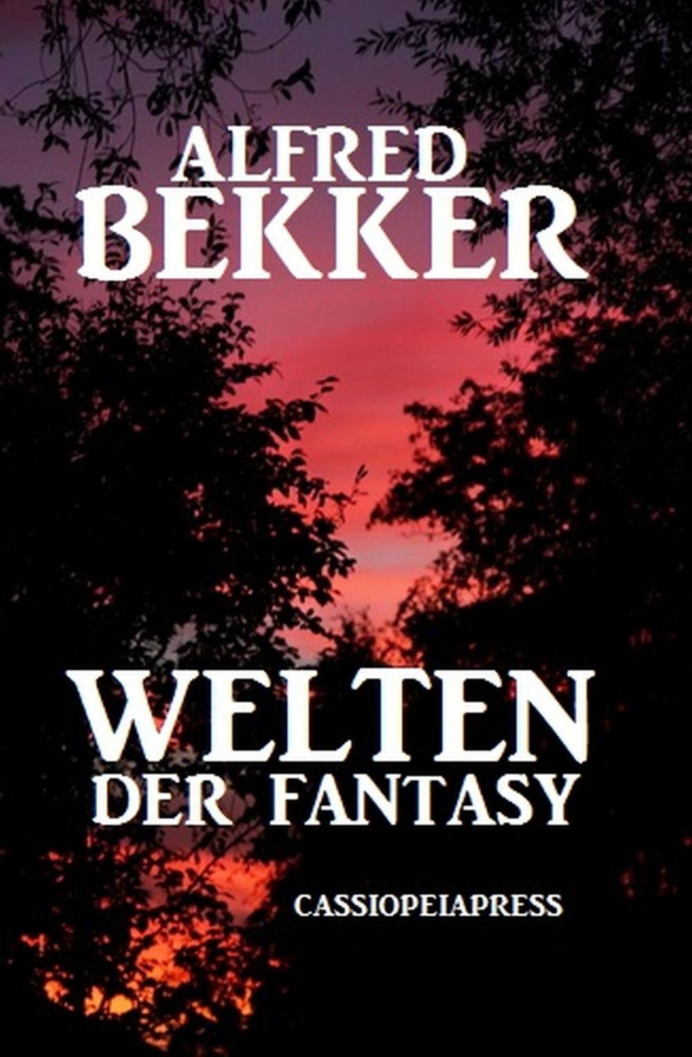 Big bigCover of Welten der Fantasy