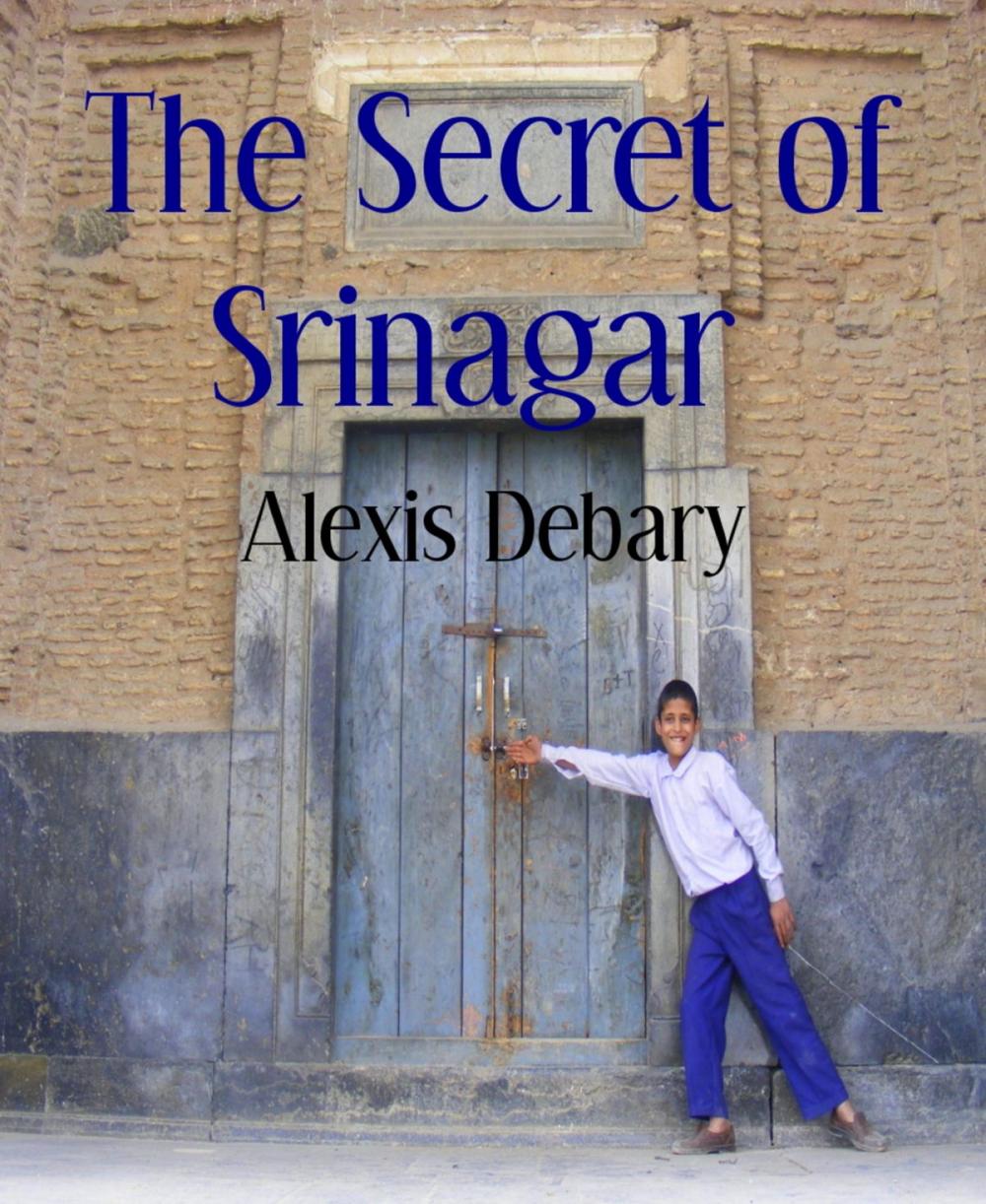 Big bigCover of The Secret of Srinagar