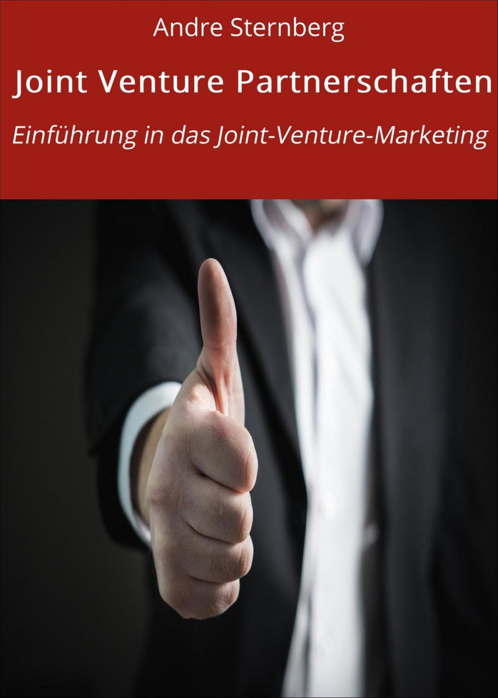 Big bigCover of Joint Venture Partnerschaften