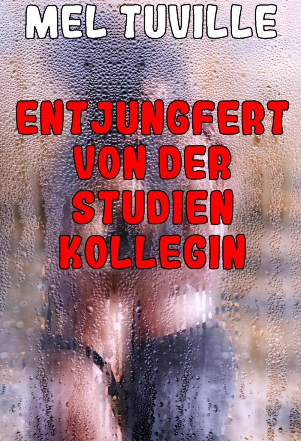 Big bigCover of Entjungfert von der Studienkollegin