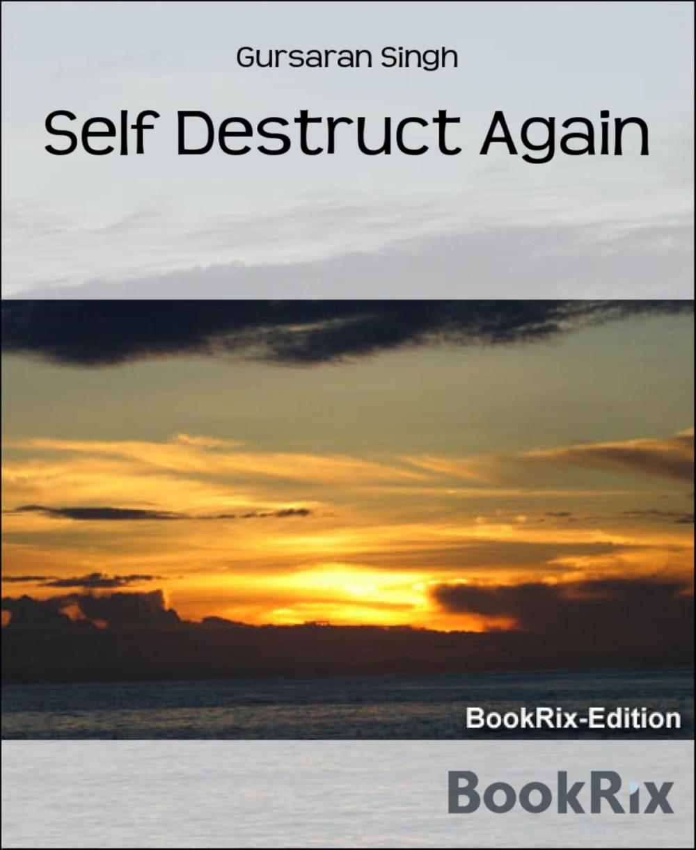 Big bigCover of Self Destruct Again