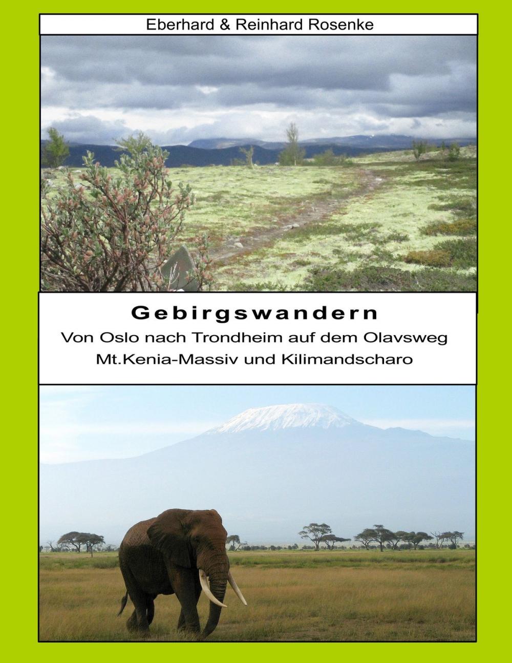 Big bigCover of Gebirgswandern