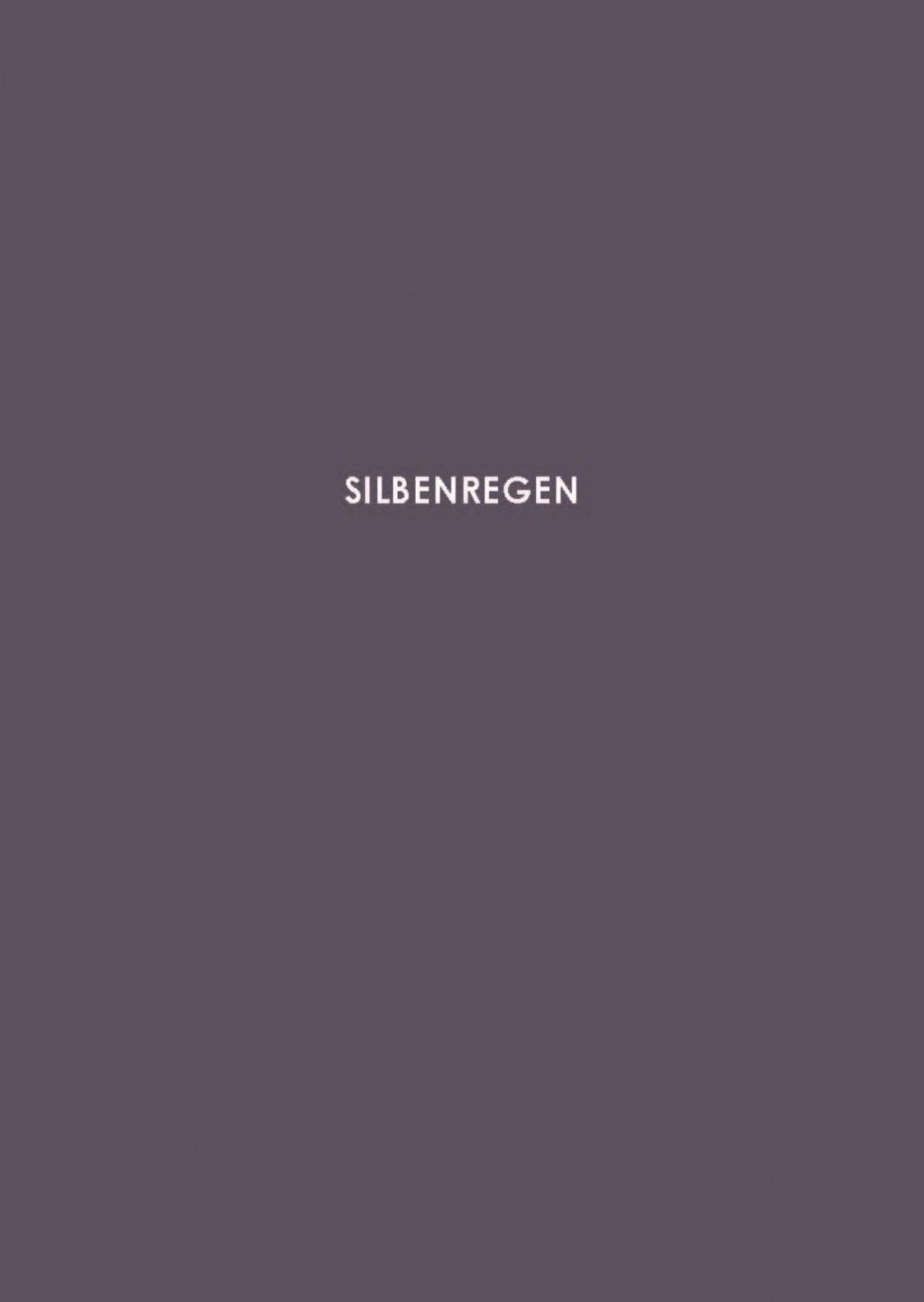 Big bigCover of Silbenregen