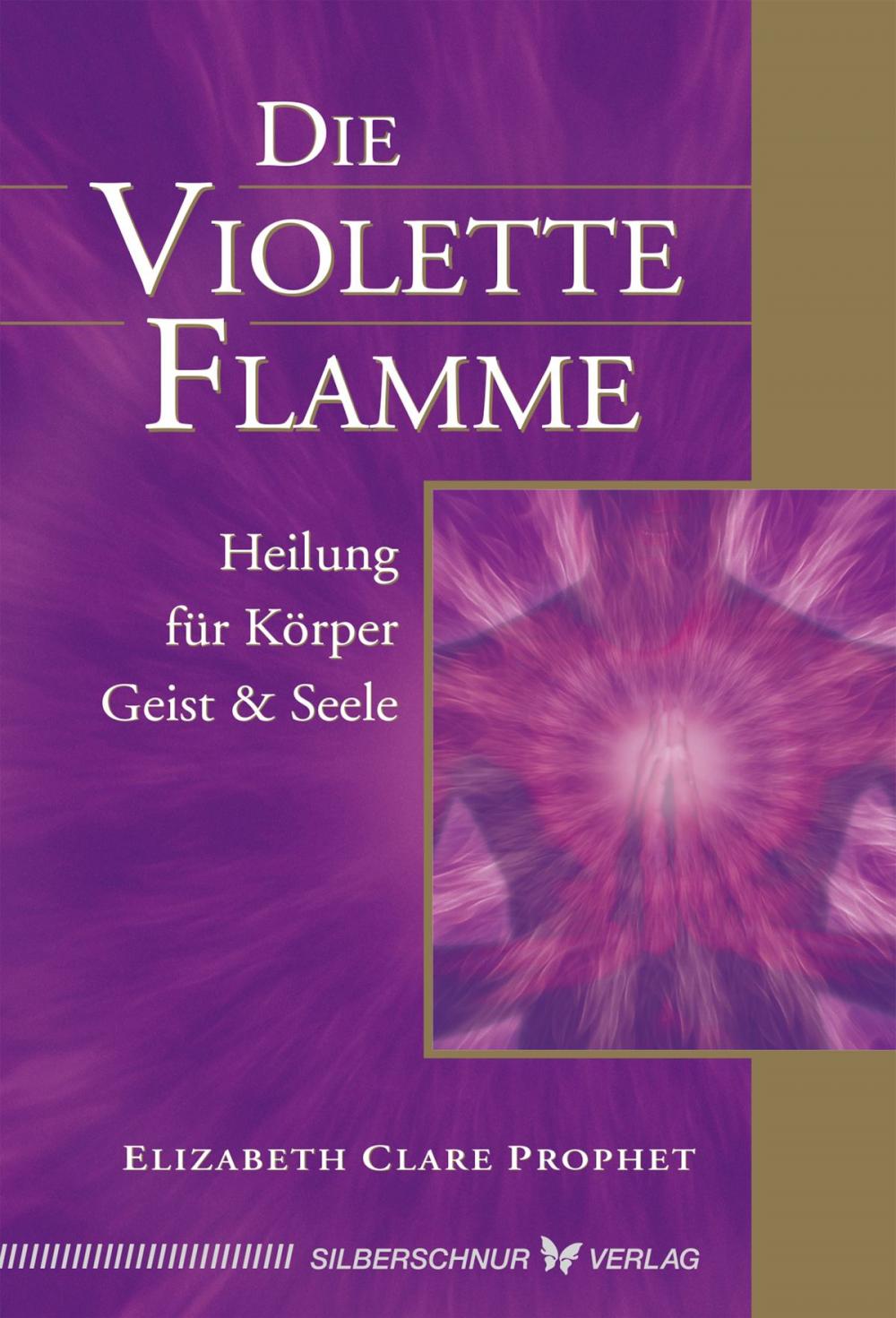 Big bigCover of Die violette Flamme