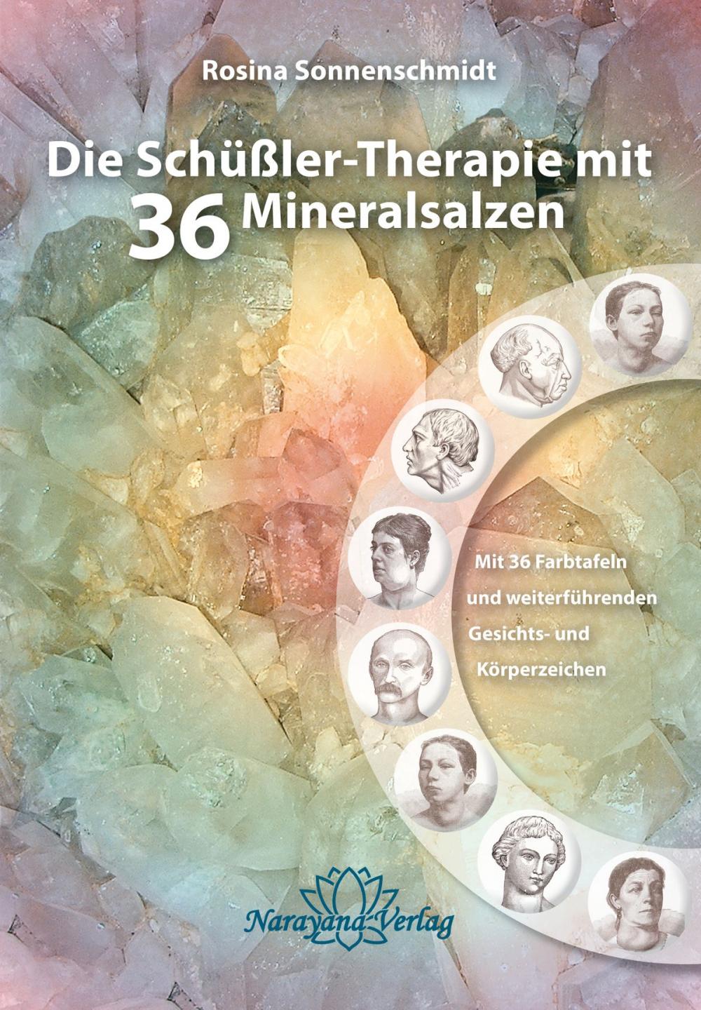 Big bigCover of Die Schüßler-Therapie mit 36 Mineralsalzen