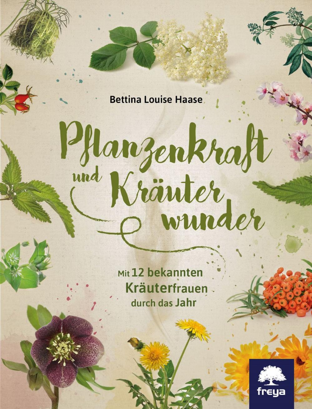 Big bigCover of Pflanzenkraft und Kräuterwunder