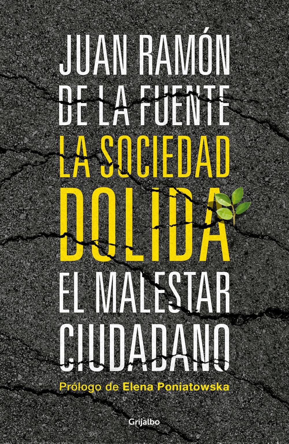 Big bigCover of La sociedad dolida