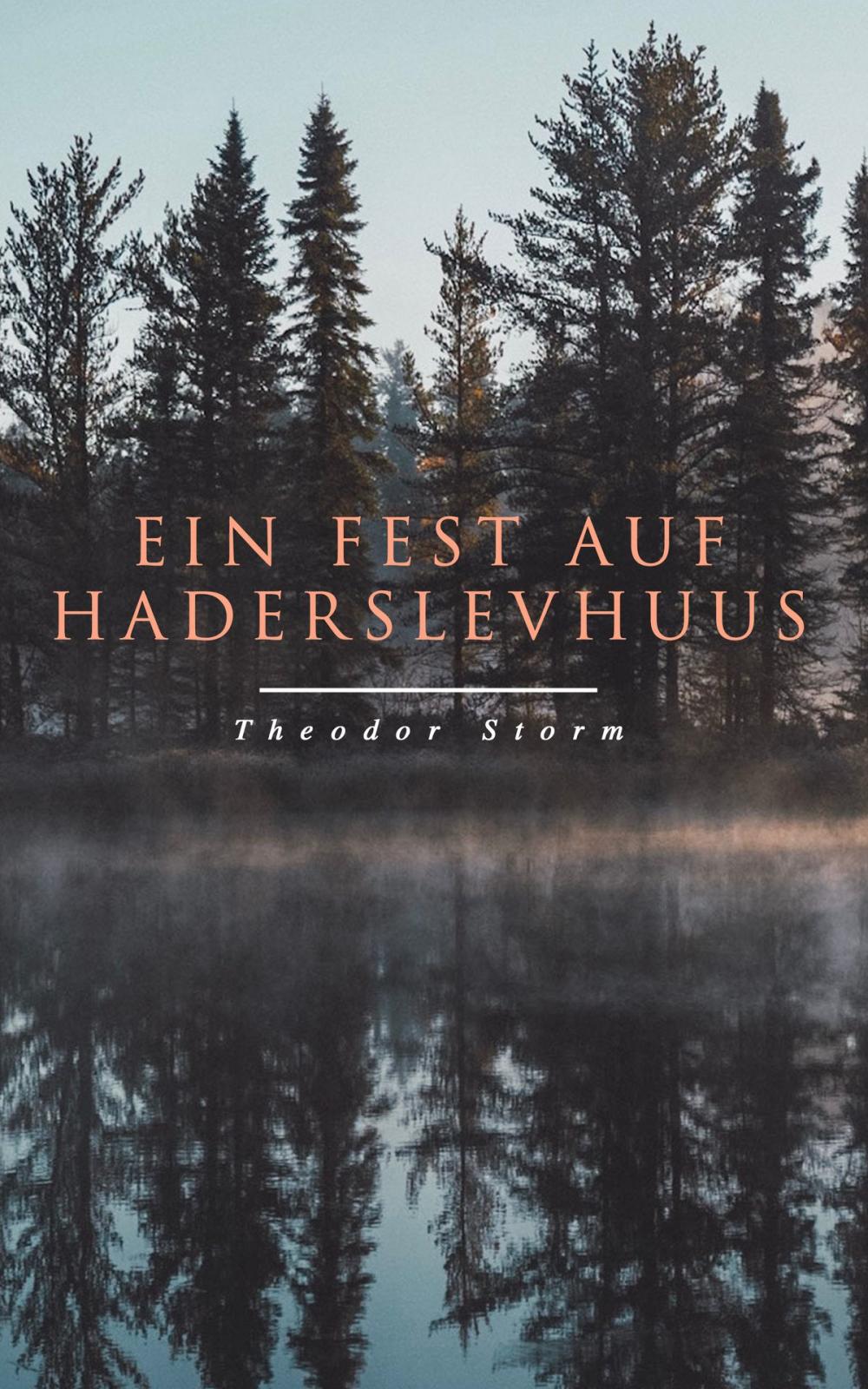 Big bigCover of Ein Fest auf Haderslevhuus