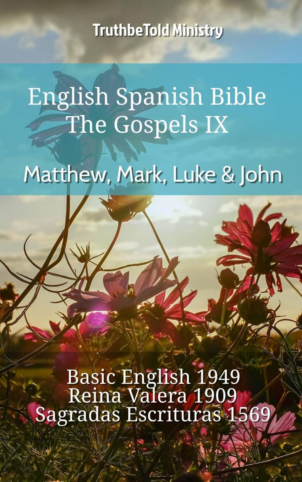 Big bigCover of English Spanish Bible - The Gospels IX - Matthew, Mark, Luke & John