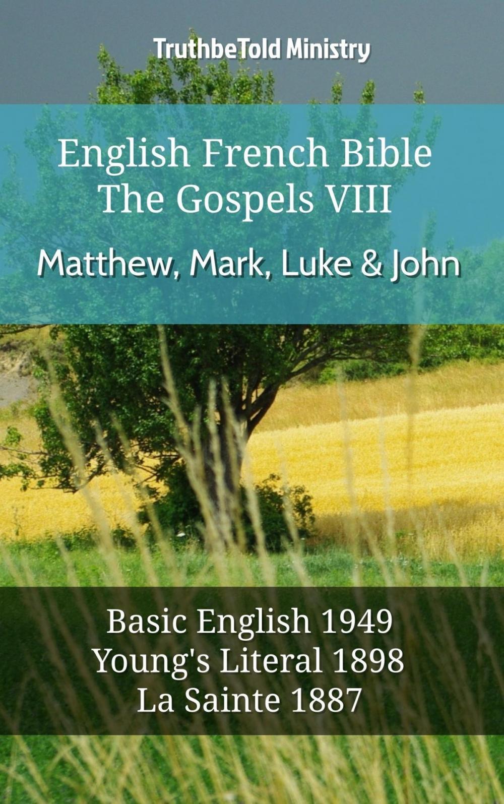 Big bigCover of English French Bible - The Gospels VIII - Matthew, Mark, Luke & John