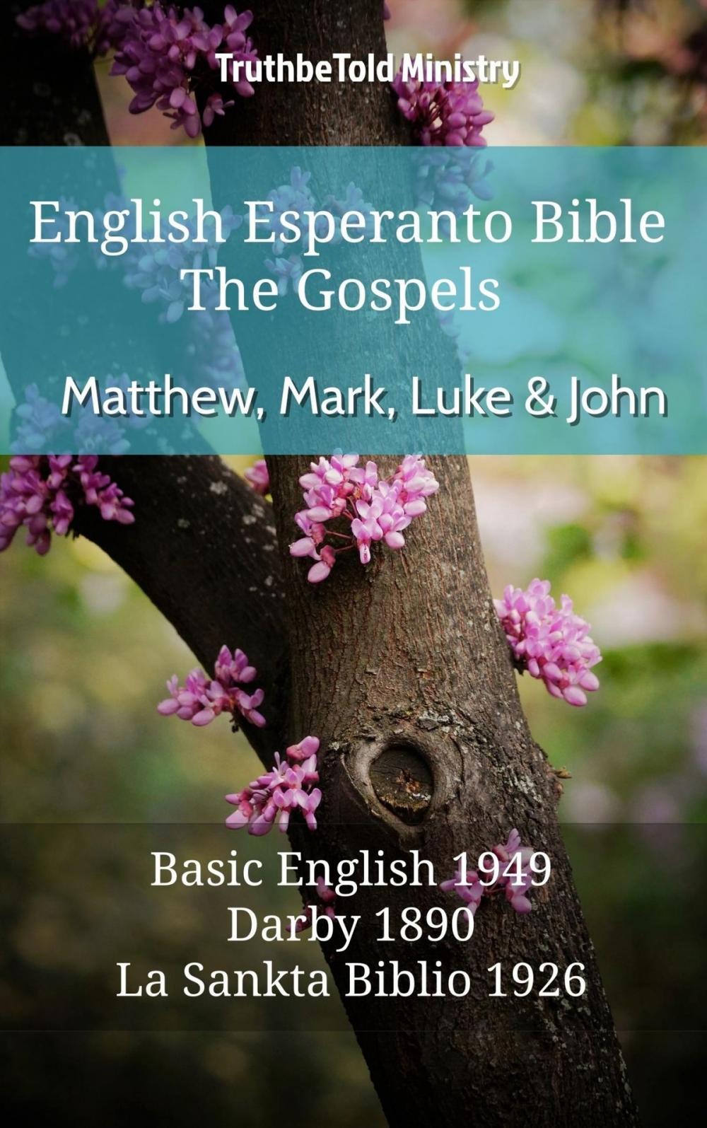 Big bigCover of English Esperanto Bible - The Gospels - Matthew, Mark, Luke and John