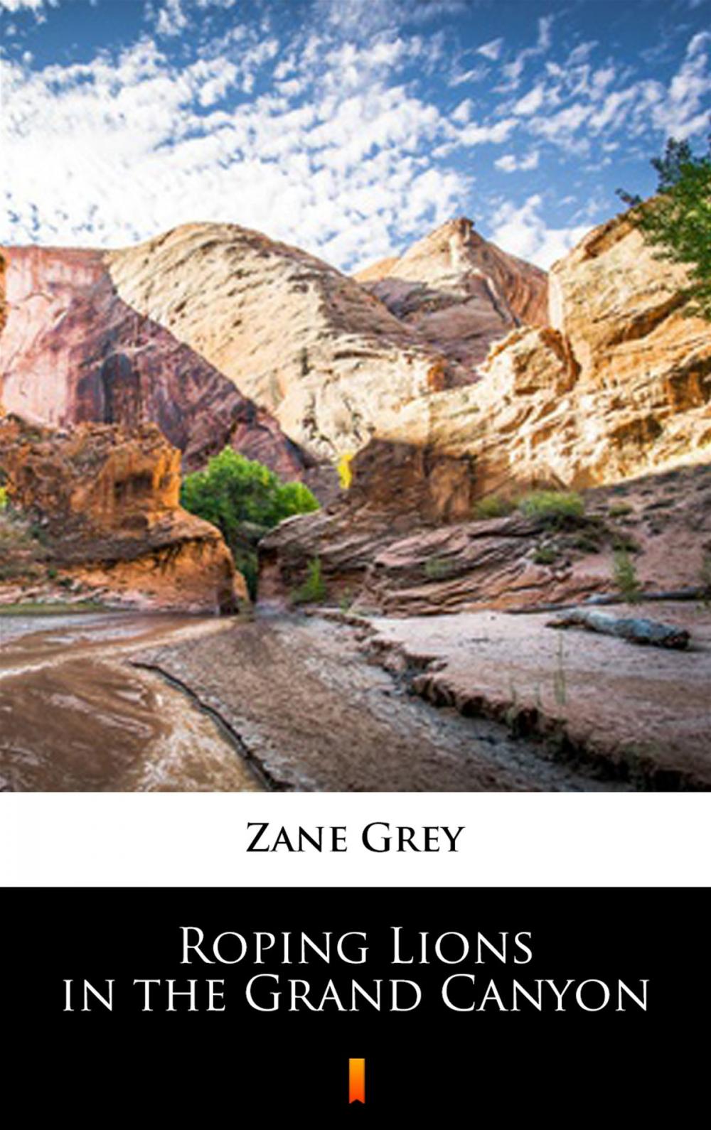 Big bigCover of Roping Lions in the Grand Canyon