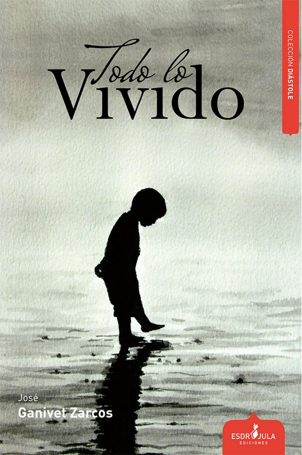 Big bigCover of TODO LO VIVIDO