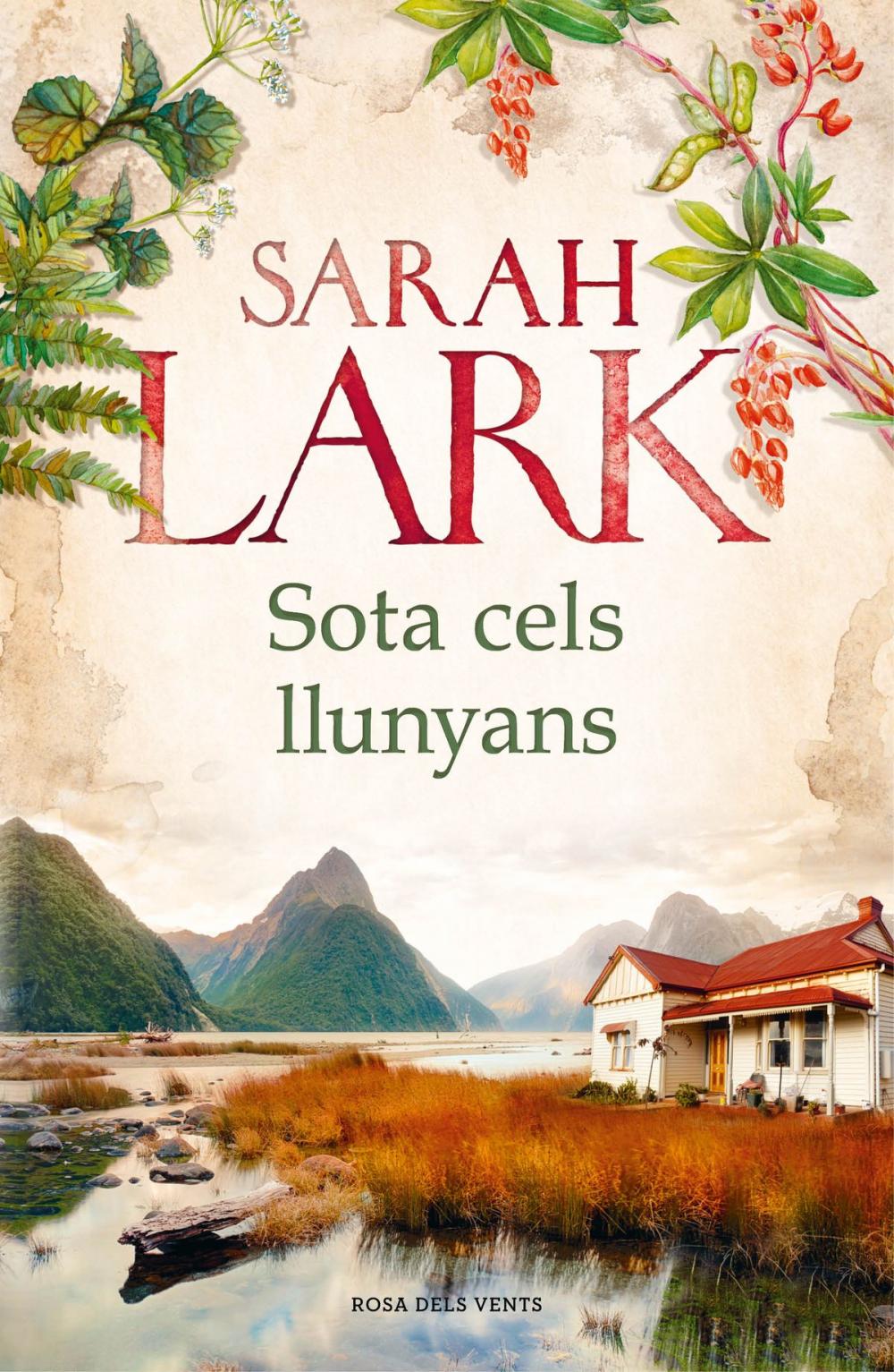 Big bigCover of Sota cels llunyans