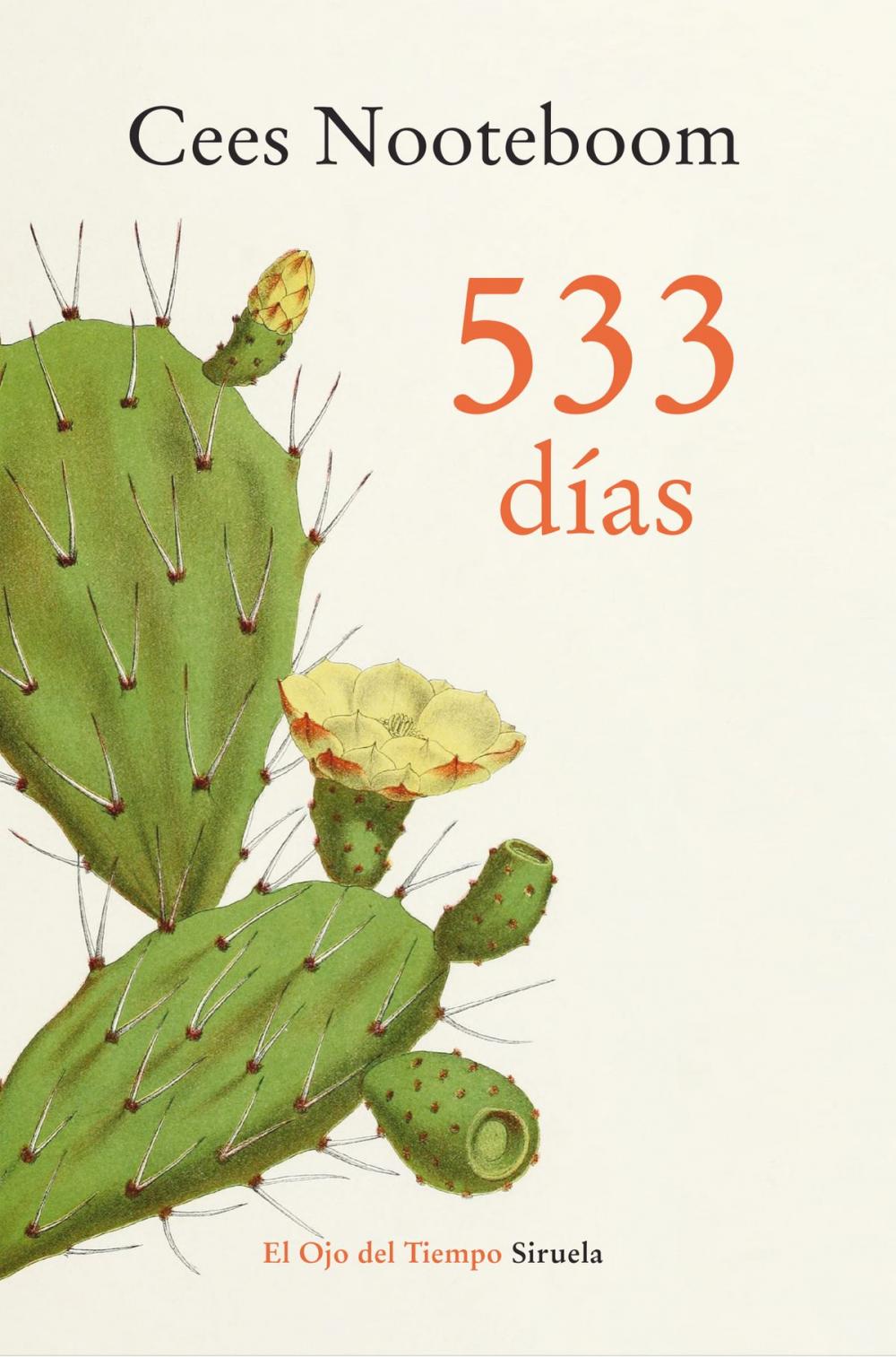 Big bigCover of 533 días