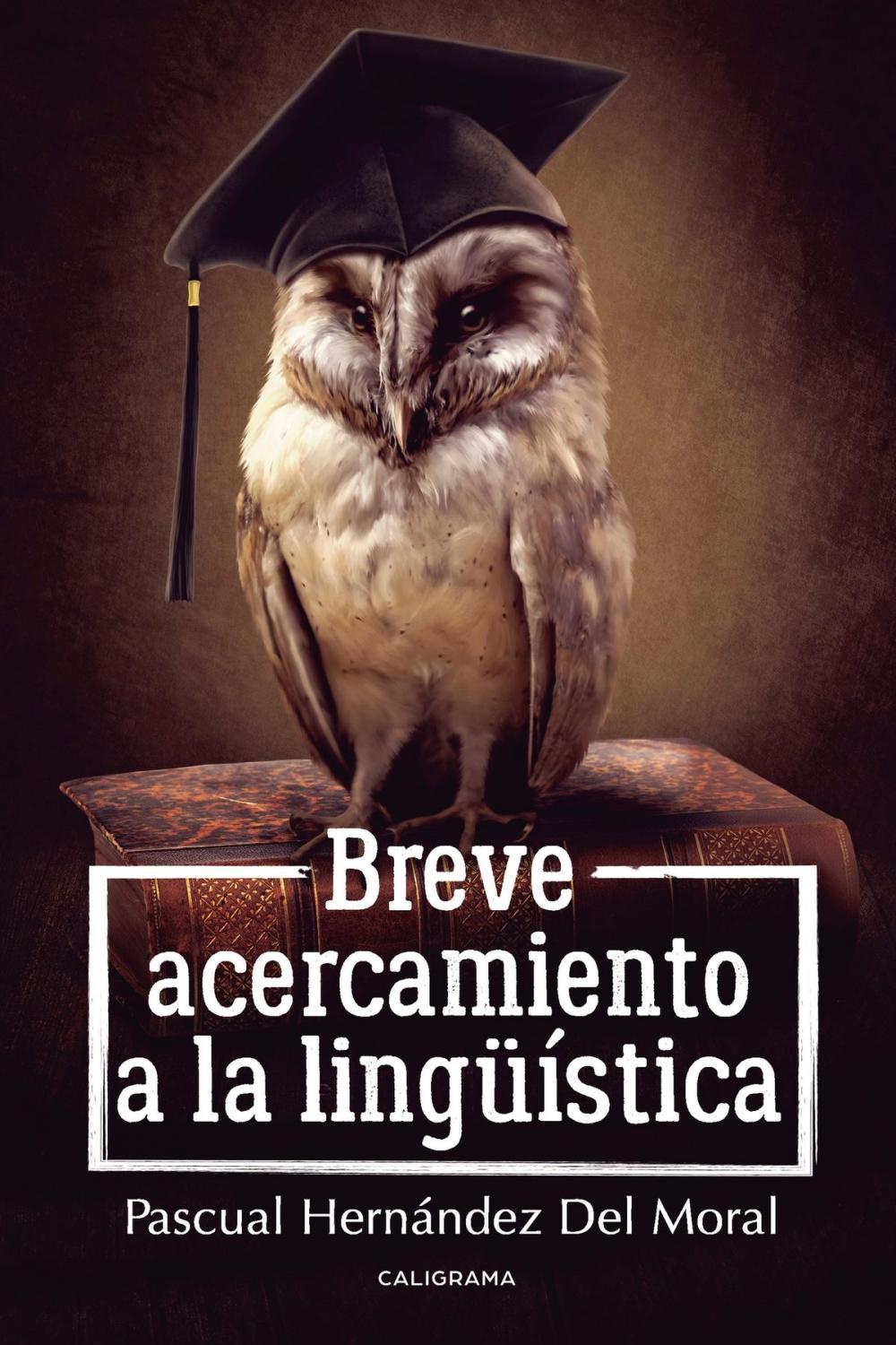 Big bigCover of Breve acercamiento a la lingüística