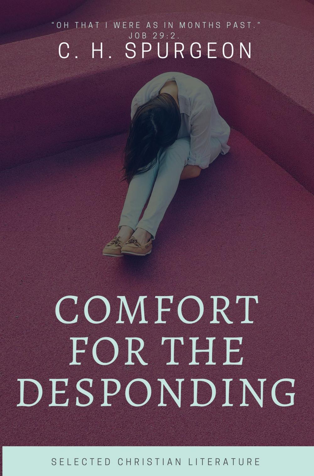 Big bigCover of Comfort for the Despoding