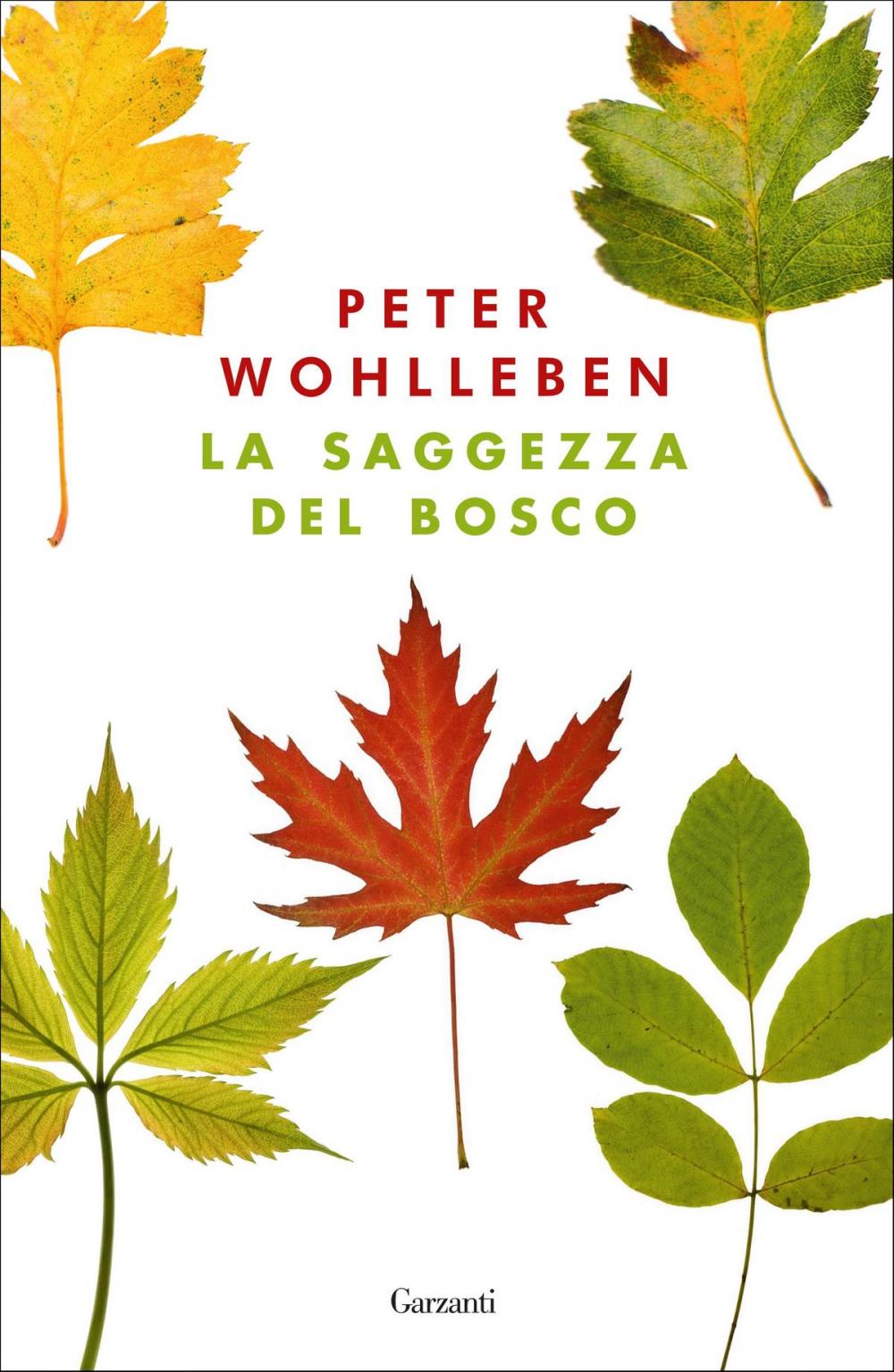 Big bigCover of La saggezza del bosco