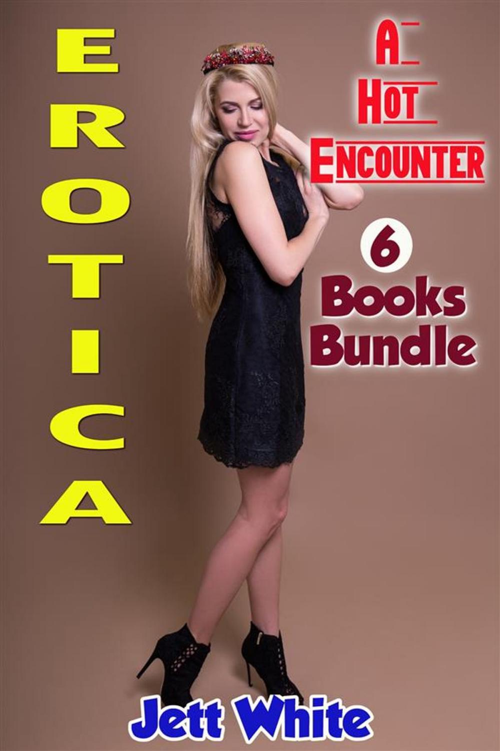 Big bigCover of Erotica: A Hot Encounter: 6 Books Bundle