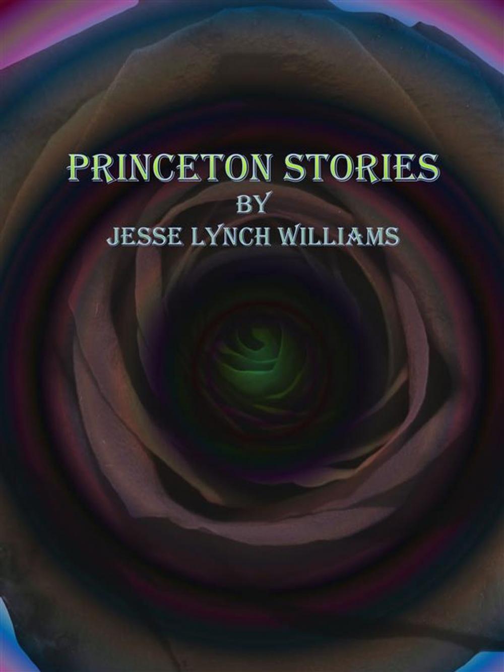 Big bigCover of Princeton Stories