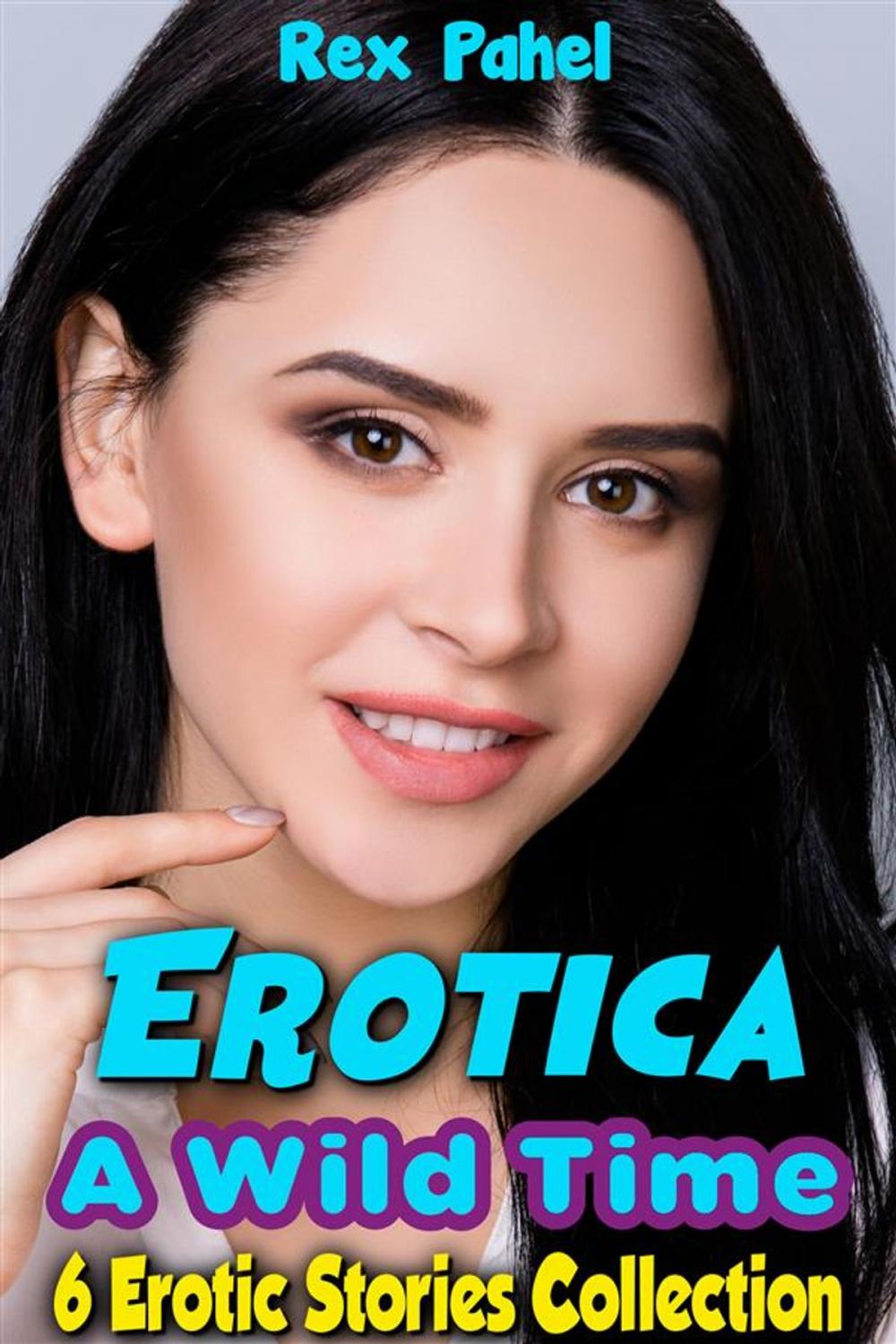 Big bigCover of Erotica: A Wild Time: 6 Erotic Stories Collection