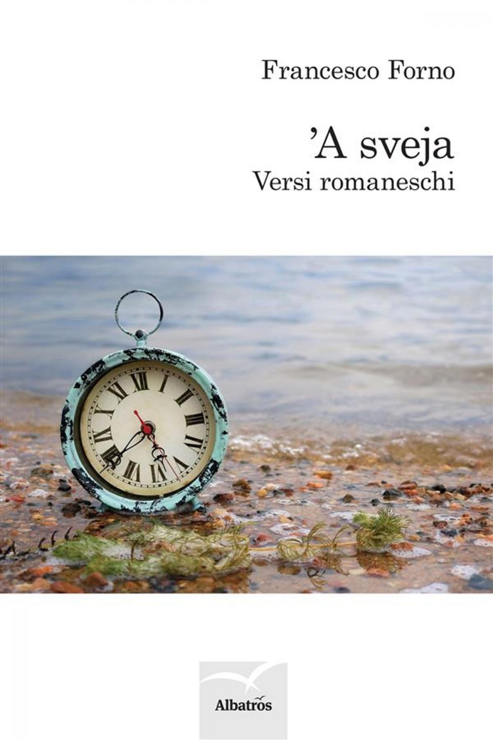 Big bigCover of 'A sveja