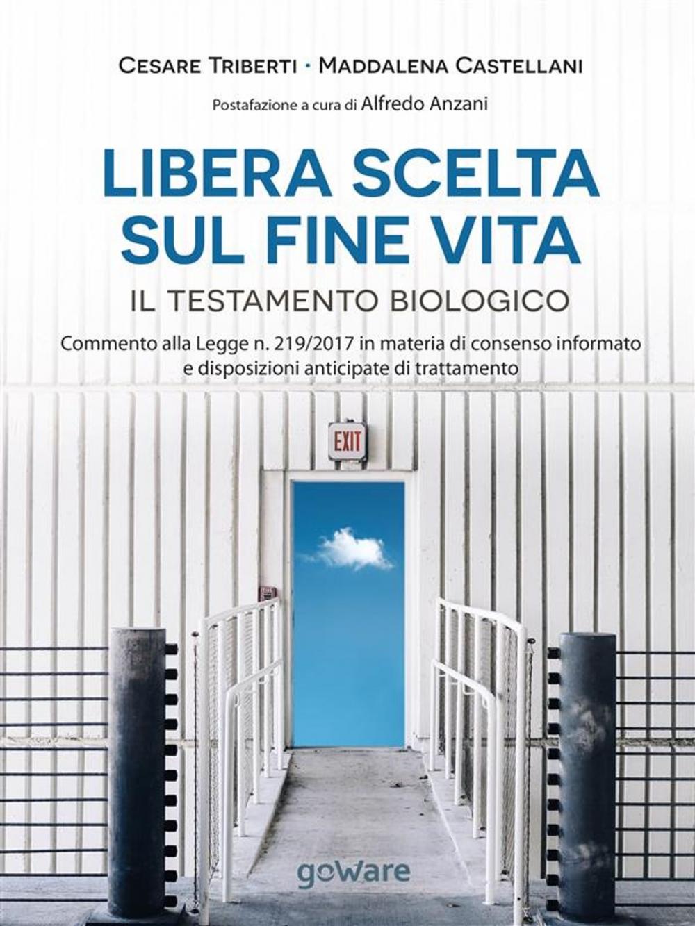 Big bigCover of Libera scelta sul fine vita. Il testamento biologico. Commento alla legge n. 219/2017 in materia di consenso informato e disposizioni anticipate di trattamento