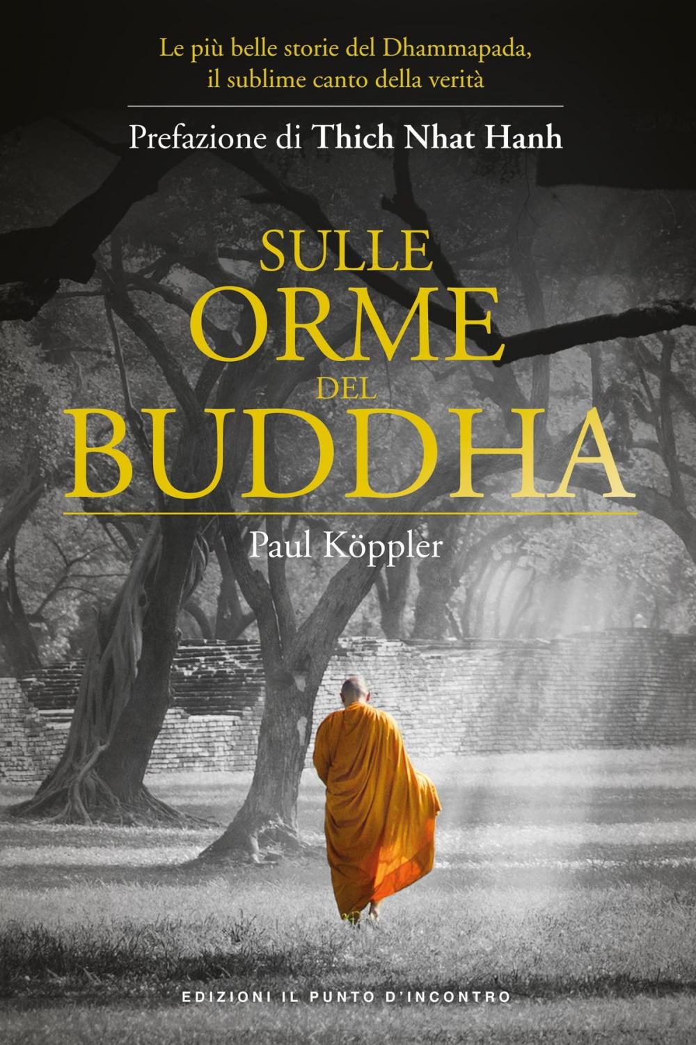 Big bigCover of Sulle orme del Buddha