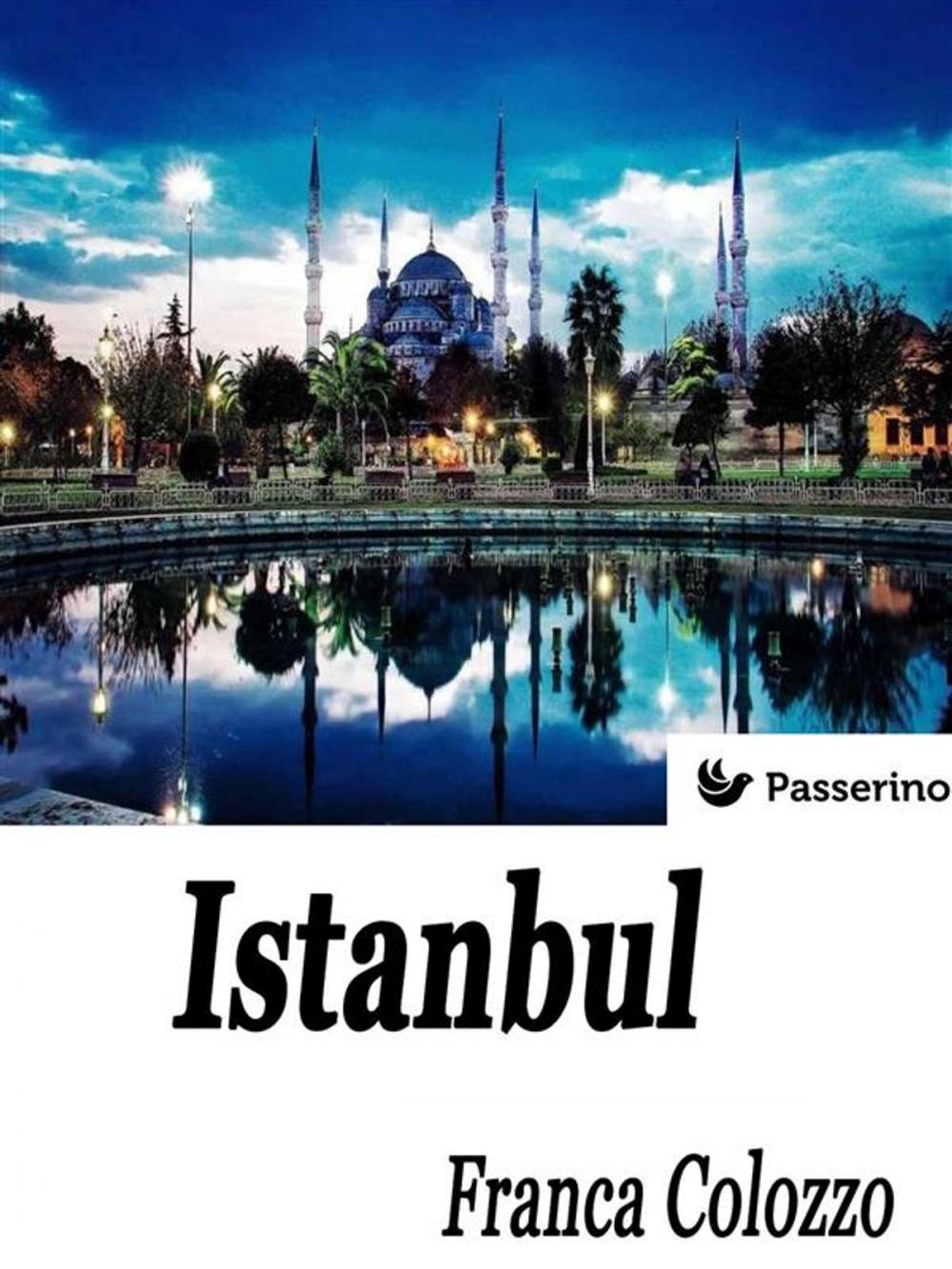 Big bigCover of Istanbul