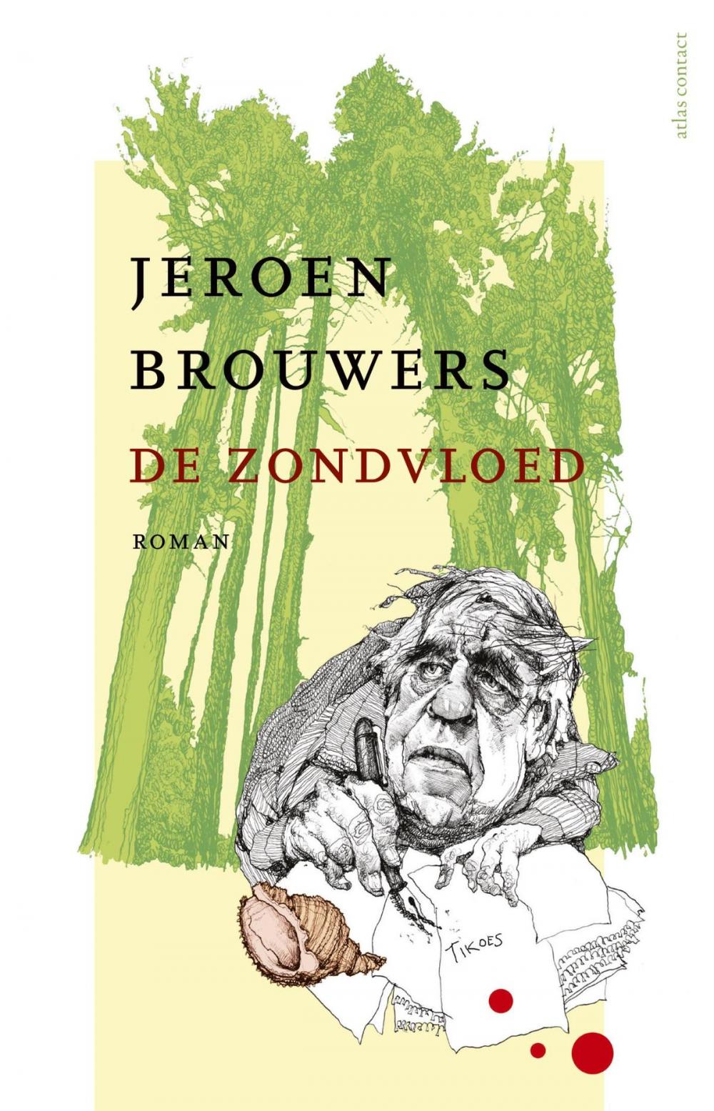 Big bigCover of De zondvloed