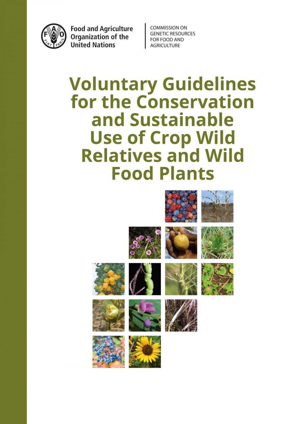 Big bigCover of Voluntary Guidelines for the Conservation and Sustainable Use of Crop Wild Relatives and Wild Food Plants