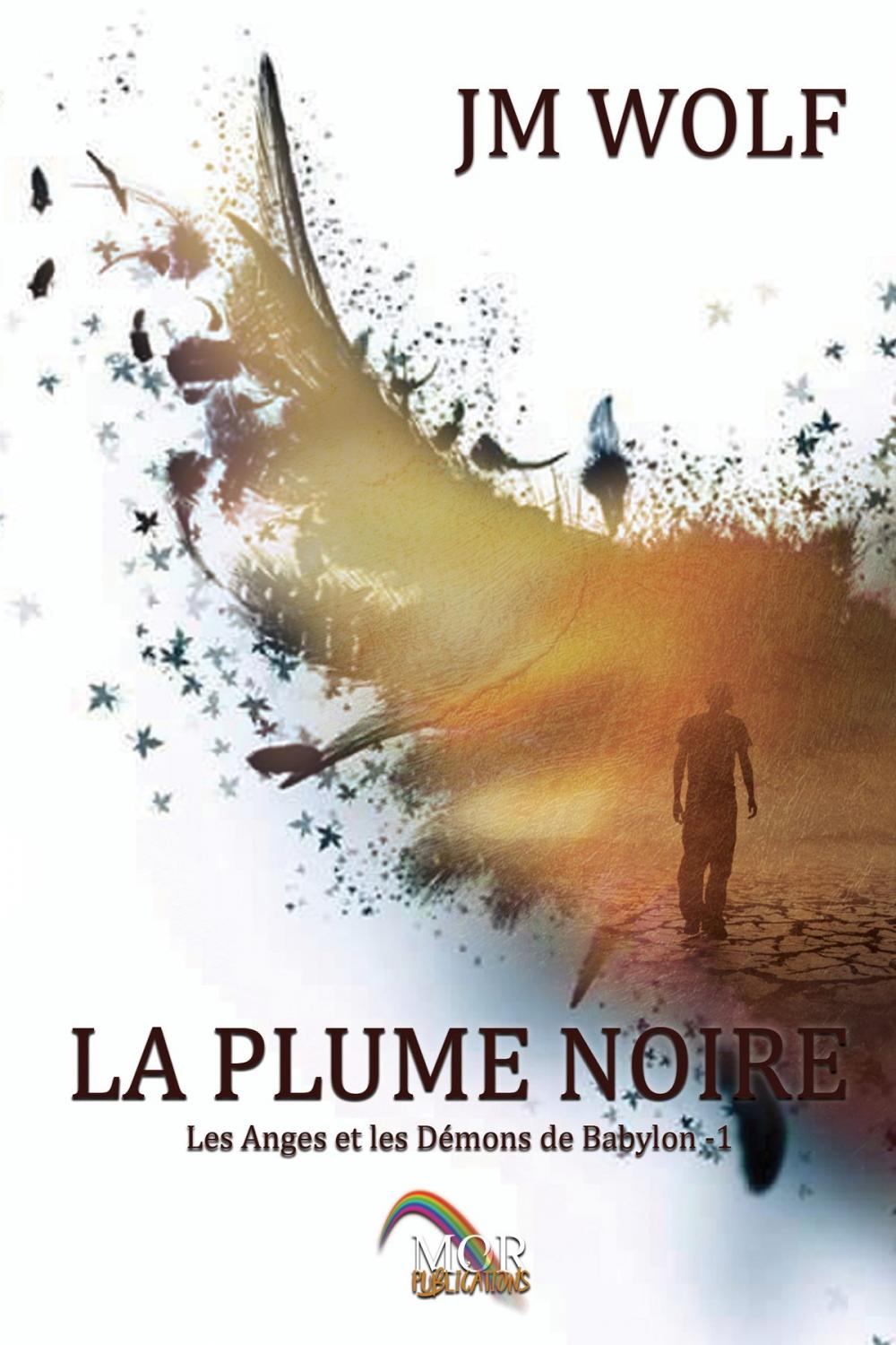 Big bigCover of La Plume Noire