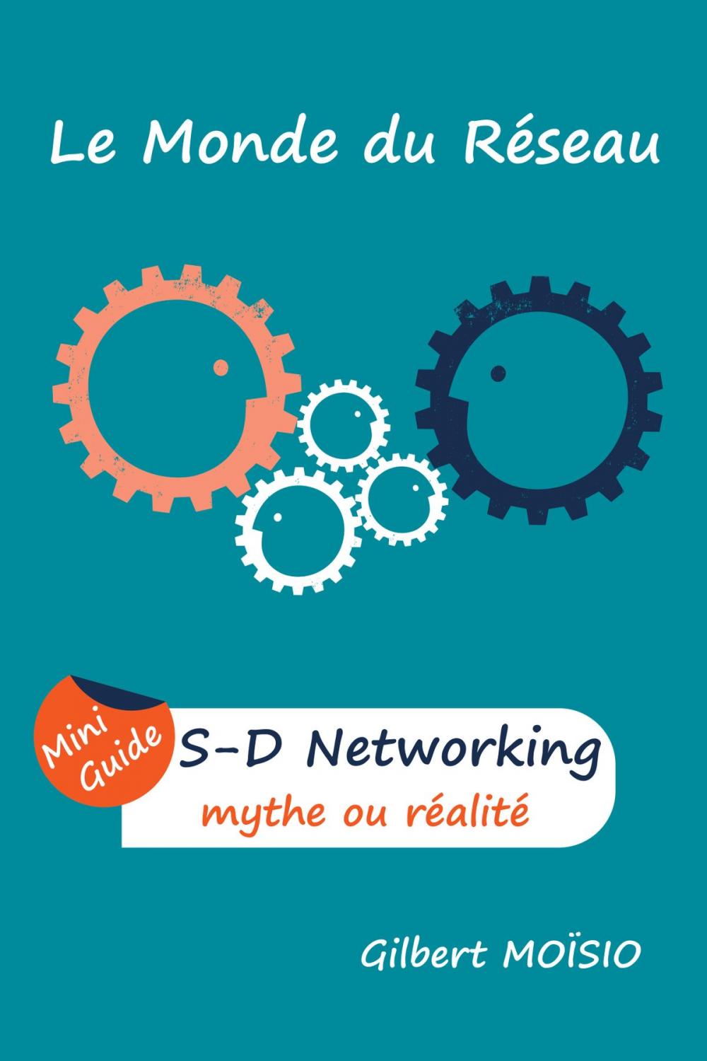 Big bigCover of Software-Defined Networking, mythe ou réalité