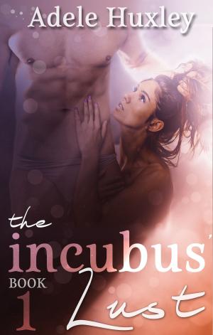 Cover of the book The Incubus' Lust by Daniel D.F. Frost