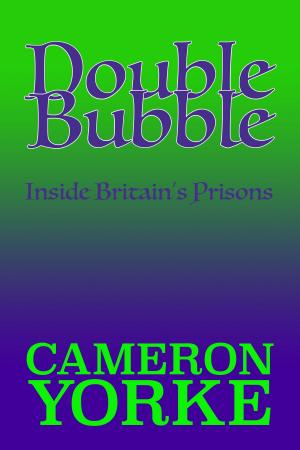 Book cover of Double Bubble