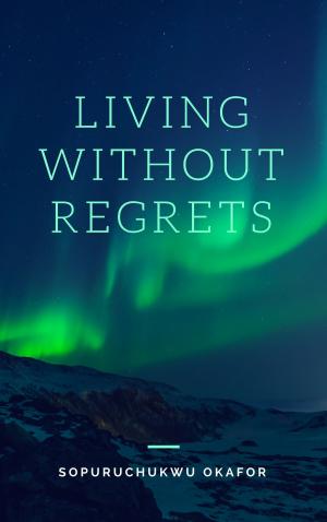 Cover of Living Without Regrets
