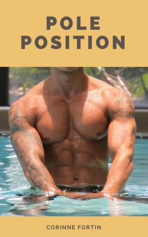 Cover of the book Pole position by KB Alan