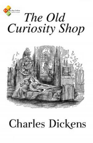 Cover of the book The Old Curiosity Shop by Alphonse Daudet