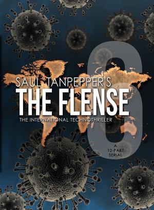 Book cover of The Flense - 06
