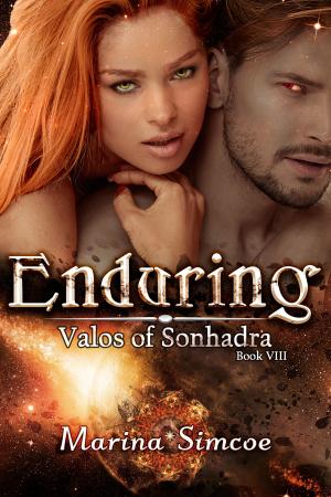 Cover of the book Enduring by KB Alan