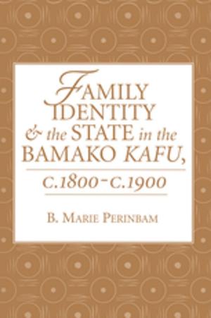 Cover of the book Family Identity And The State In The Bamako Kafu by Michael Corbett, Julia Corbett-Hemeyer, J. Matthew Wilson