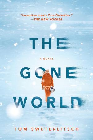 Cover of the book The Gone World by Jeanne Mackin