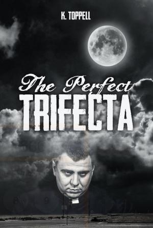 Cover of the book The Perfect Trifecta by Rachael Dwyer