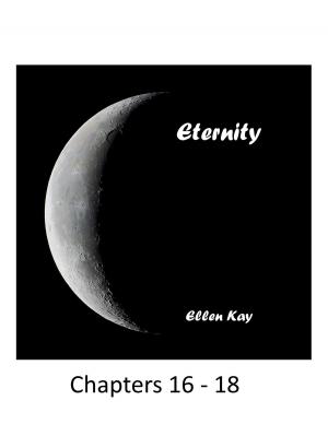 Book cover of Eternity Chapters 16-18