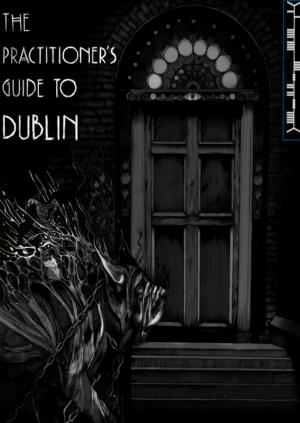 Cover of the book The Practitioner's Guide to Dublin by Tyler Schnabel