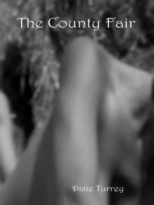 Cover of the book The County Fair by Dixie Turrey
