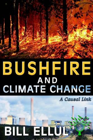 bigCover of the book Bushfire and Climate Change: A Causal Link by 