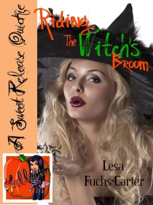 Cover of Riding the Witch's Broom